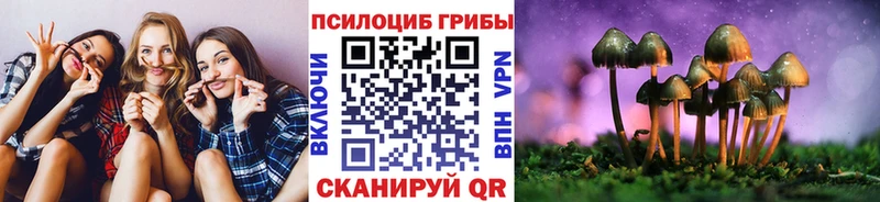 купить   Первоуральск  Галлюциногенные грибы Magic Shrooms 