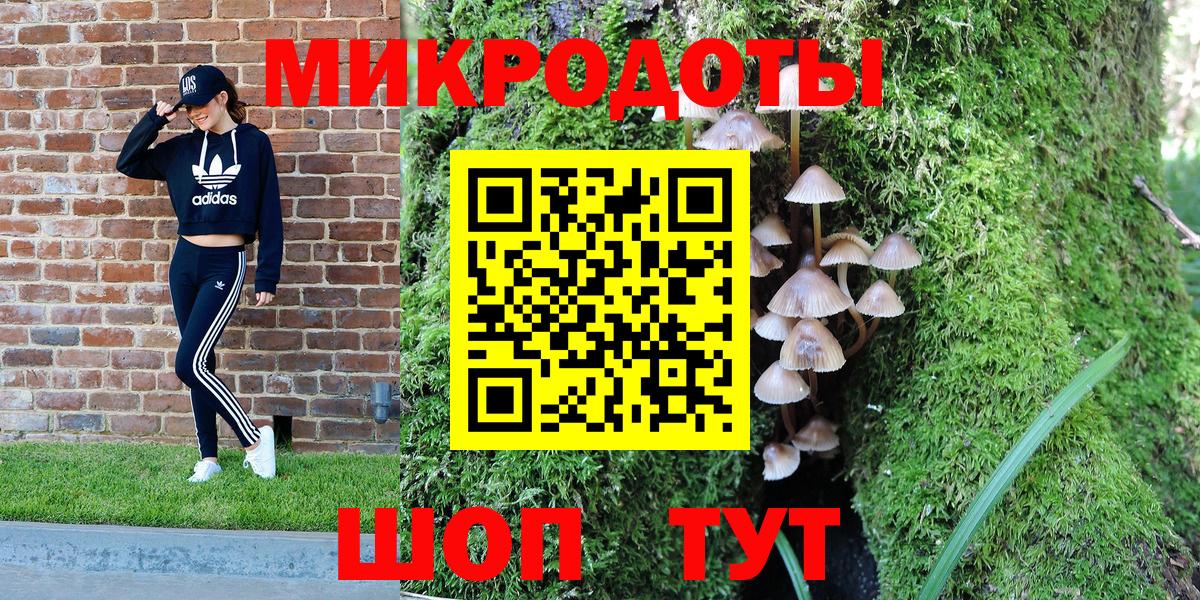 Галлюциногенные грибы Psilocybe Первоуральск