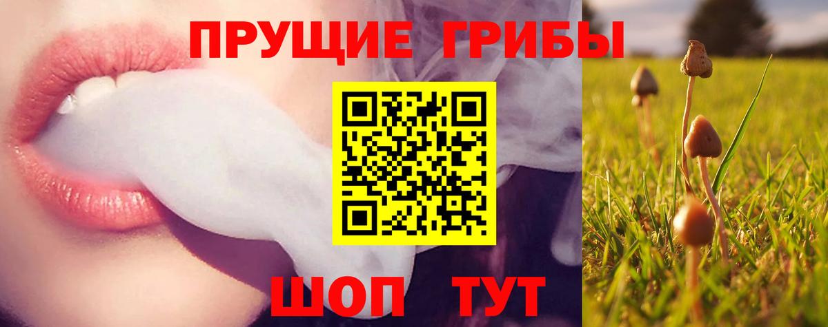 Галлюциногенные грибы прущие грибы  Вход с VPN  Первоуральск 